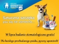 pied2-590x305