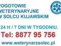 10521655_762329713810523_1291076464418262887_n